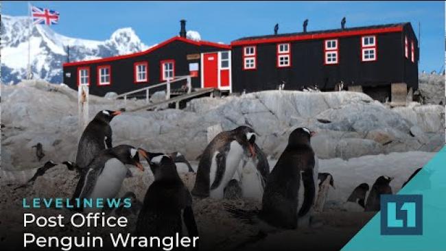 Embedded thumbnail for Level1 News April 15 2022: Post Office Penguin Wrangler