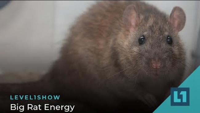 Embedded thumbnail for The Level1 Show March 1 2024: Big Rat Energy