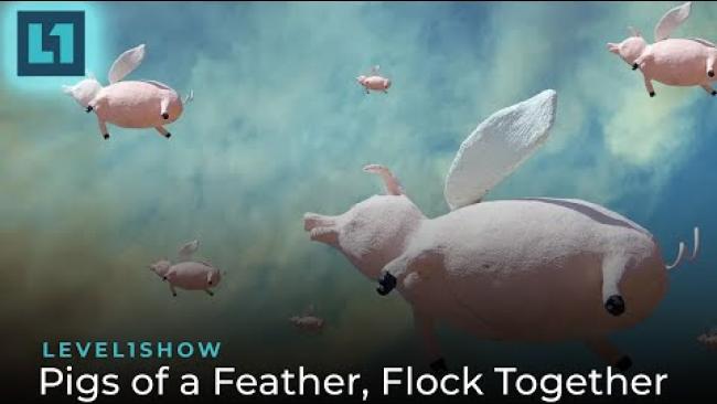 Embedded thumbnail for The Level1 Show March 26 2024: Pigs of a Feather, Flock Together