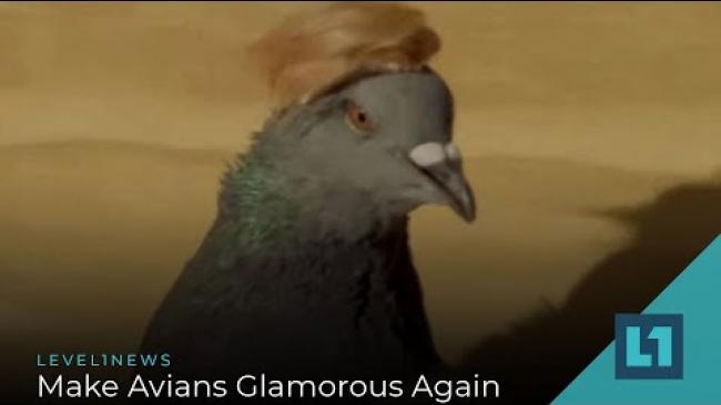 Embedded thumbnail for Level1 News February 28 2020: Make Avians Glamorous Again