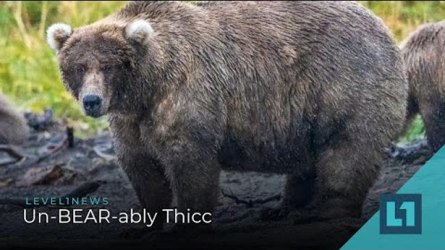 Embedded thumbnail for Level1 News October 16 2020: Un-BEAR-ably Thicc