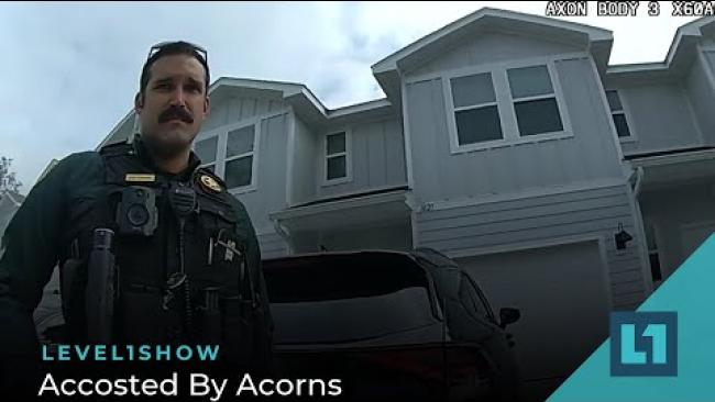 Embedded thumbnail for The Level1 Show February 23 2024: Accosted By Acorns