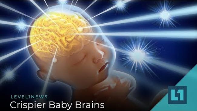 Embedded thumbnail for Level1 News March 1 2019: Crispier Baby Brains