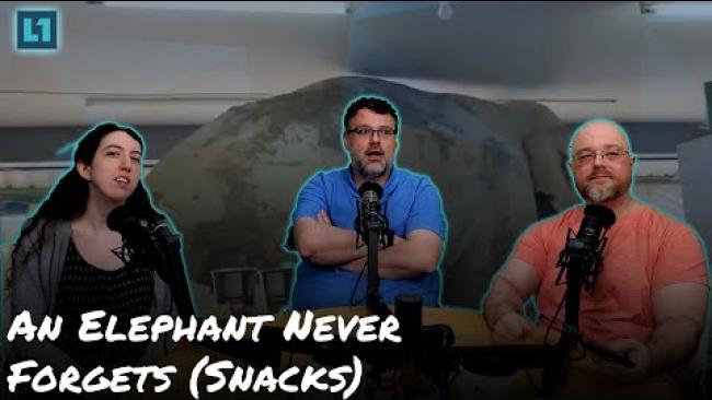 Embedded thumbnail for The Level1 Links With Friends Show June 13 2025: An Elephant Never Forgets (Snacks)