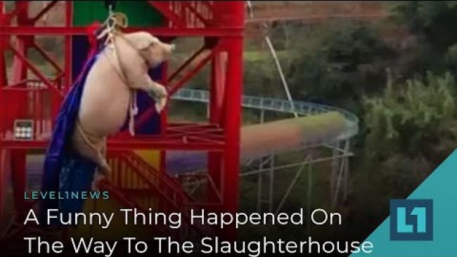 Embedded thumbnail for Level1 News January 31 2020: A Funny Thing Happened on the Way to the Slaughterhouse