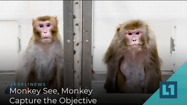Embedded thumbnail for Level1 News February 10 2021: Monkey See, Monkey Capture the Objective