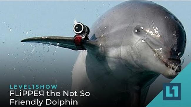 Embedded thumbnail for The Level1 Show July 7 2023: FLiРРЕЯ the Not So Friendly Dolphin