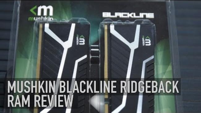 Embedded thumbnail for Mushkin Blackline Ridgeback DDR4 RAM Review