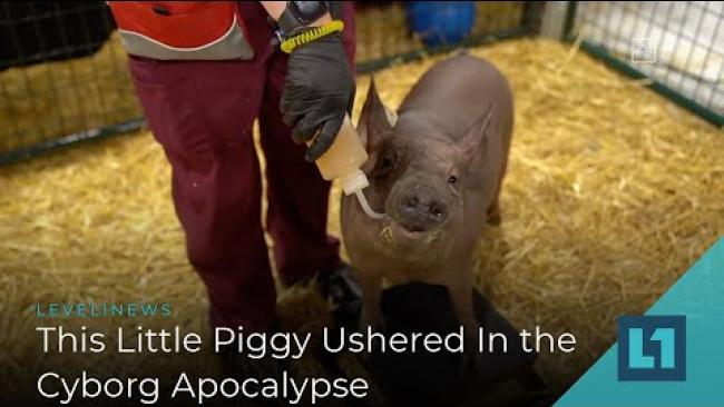 Embedded thumbnail for Level1 News September 2 2020: This Little Piggy Ushered In the Cyborg Apocalypse