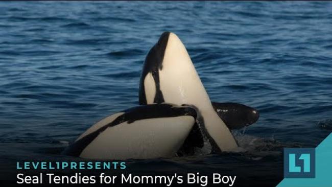 Embedded thumbnail for The Level1 Show February 17 2023: Seal Tendies for Mommy&amp;#039;s Big Boy