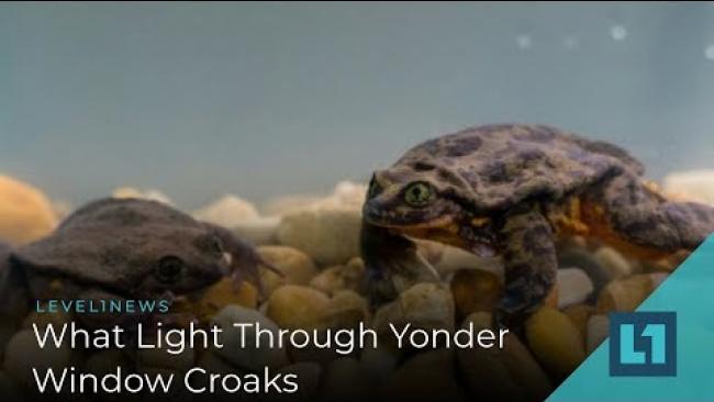Embedded thumbnail for Level1 News April 12 2019: What Light Through Yonder Window Croaks