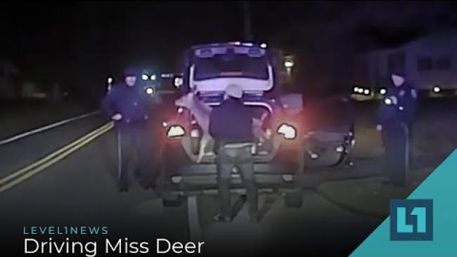 Embedded thumbnail for Level1 News January 21 2022: Driving Miss Deer