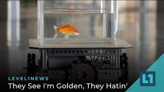Embedded thumbnail for Level1 News January 14 2021: They See I&amp;#039;m Golden, They Hatin&amp;#039;