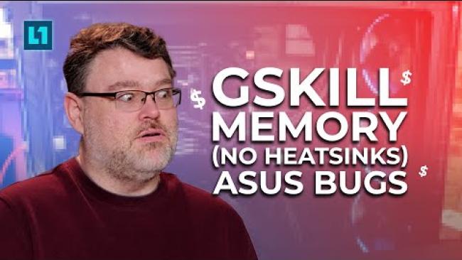 Embedded thumbnail for This G.Skill Memory Won&amp;#039;t Throttle? And ASUS has a Bug